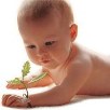 BABY  CATALOGUE
