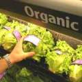 Organic products